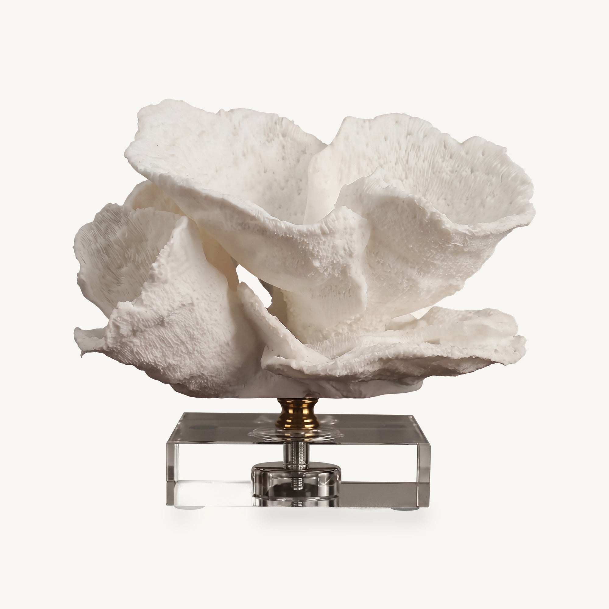 Lureto White Reef Sculpture